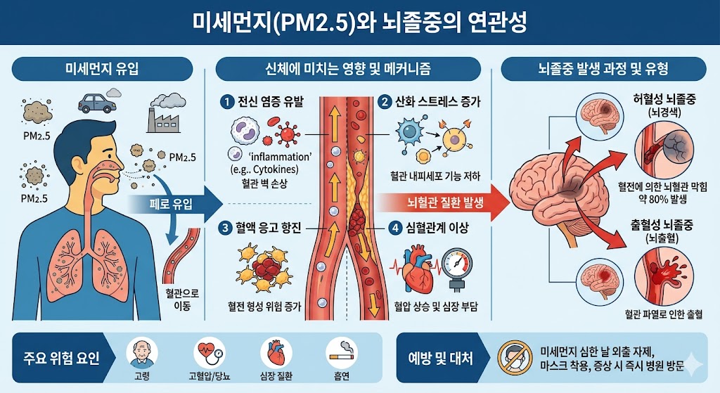 미세먼지와 뇌졸의 연관